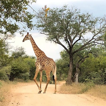 Lodge 54 Hoedspruit Bagian luar foto