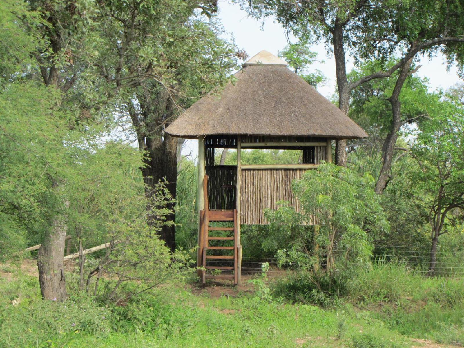 Lodge 54 Hoedspruit Bagian luar foto