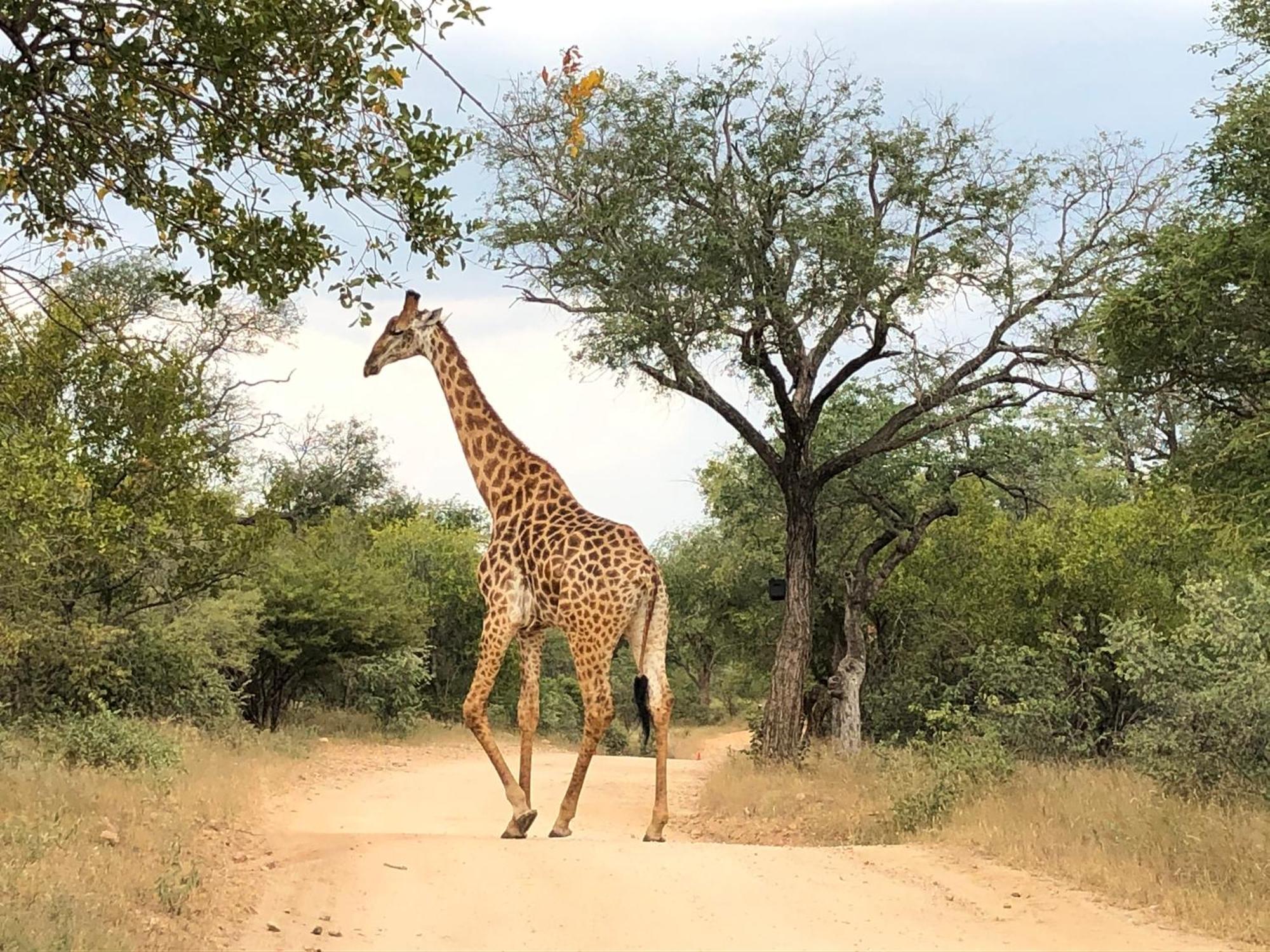 Lodge 54 Hoedspruit Bagian luar foto