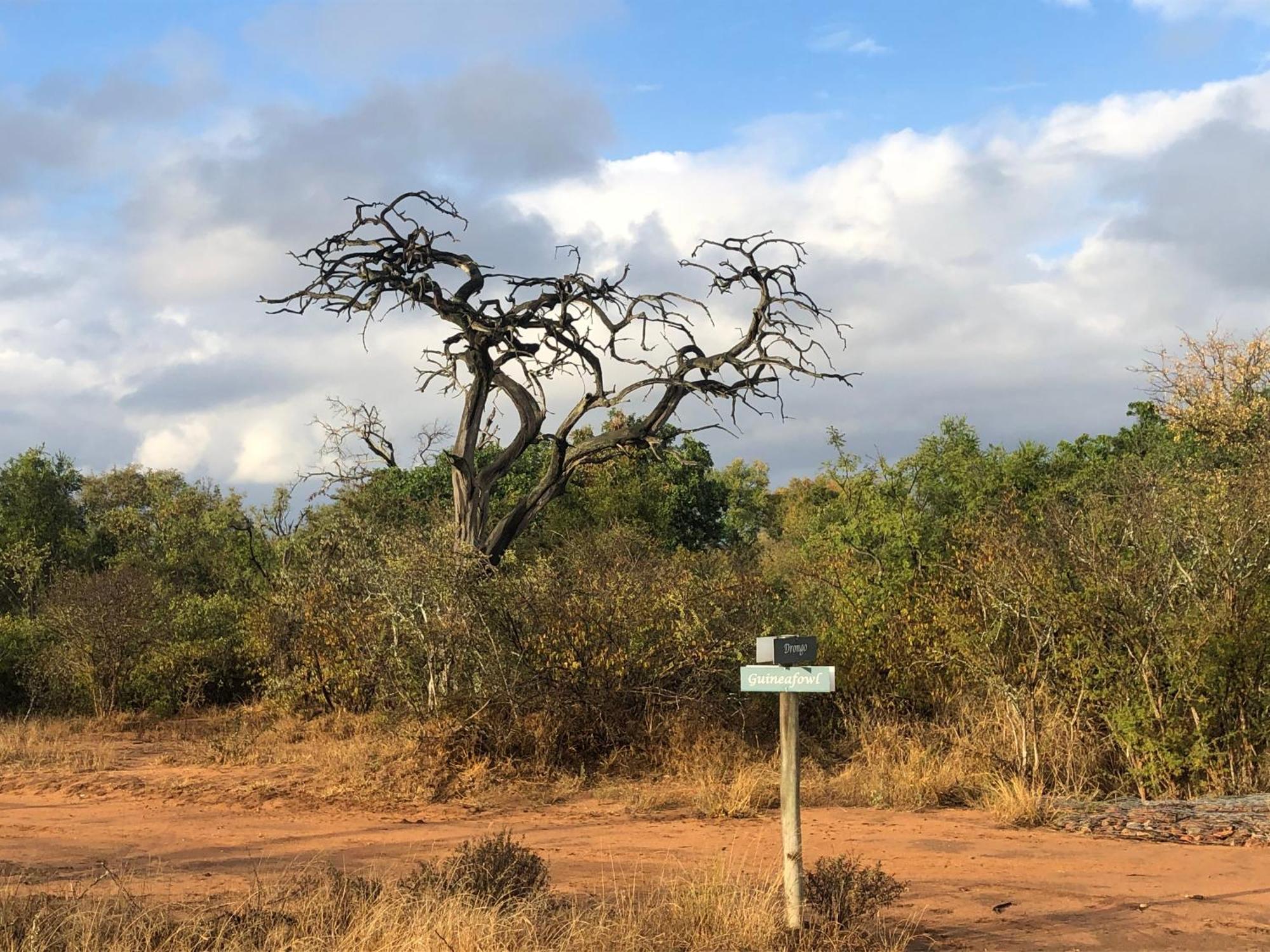 Lodge 54 Hoedspruit Bagian luar foto